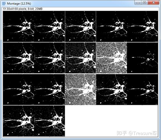 ImageJ实用技巧——平均荧光强度检测(定量分析篇)