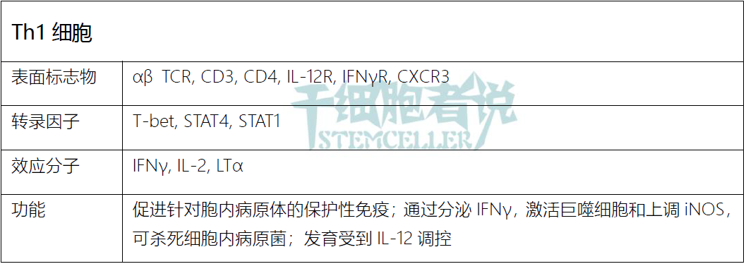 关于 T 细胞家族成员，你需要知道什么？