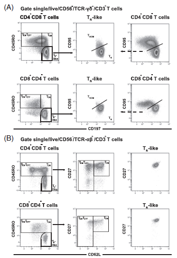 浅谈T细胞免疫分型----From Cytometry