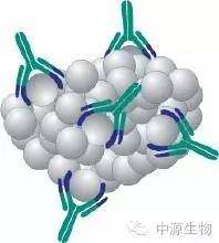 一抗怎么选？需要考虑的都在这里