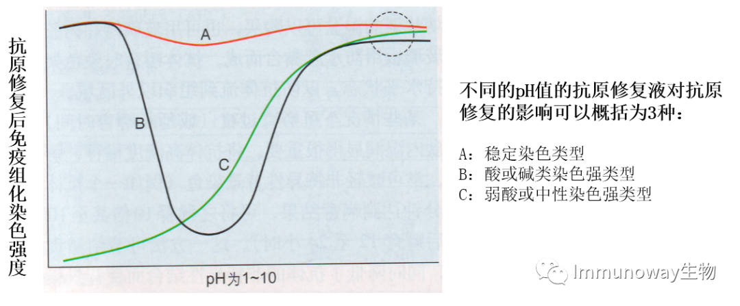 免疫组化（IHC）│常见问题及解析集锦