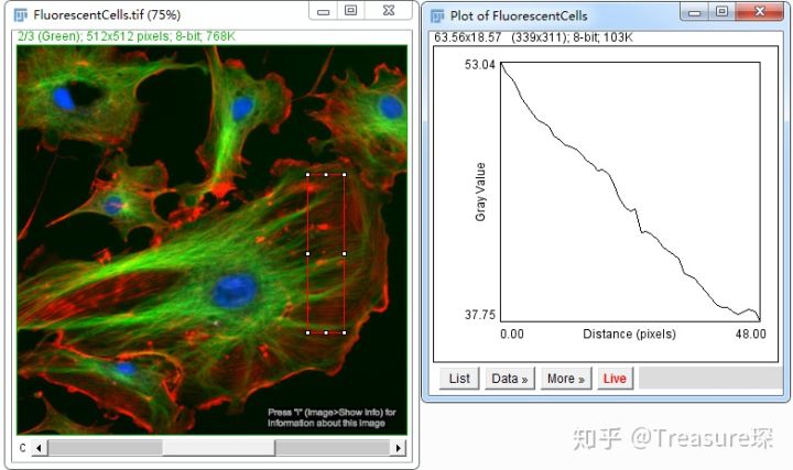 ImageJ实用技巧——荧光共定位分析(定量分析篇)