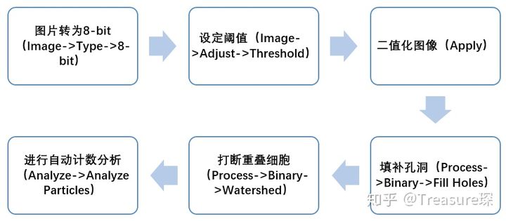 ImageJ实用技巧——自动细胞计数(解放双手篇)