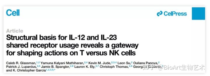 Cell | 突破IL-12治疗瓶颈，独特结构带来肿瘤免疫治疗新策略