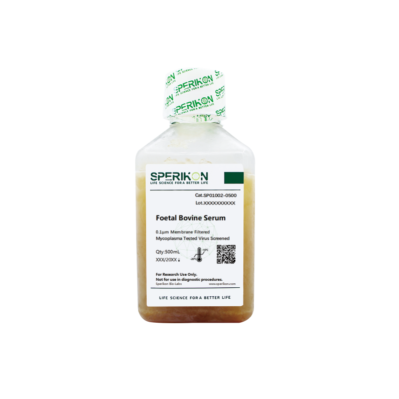 Foetal Bovine Serum