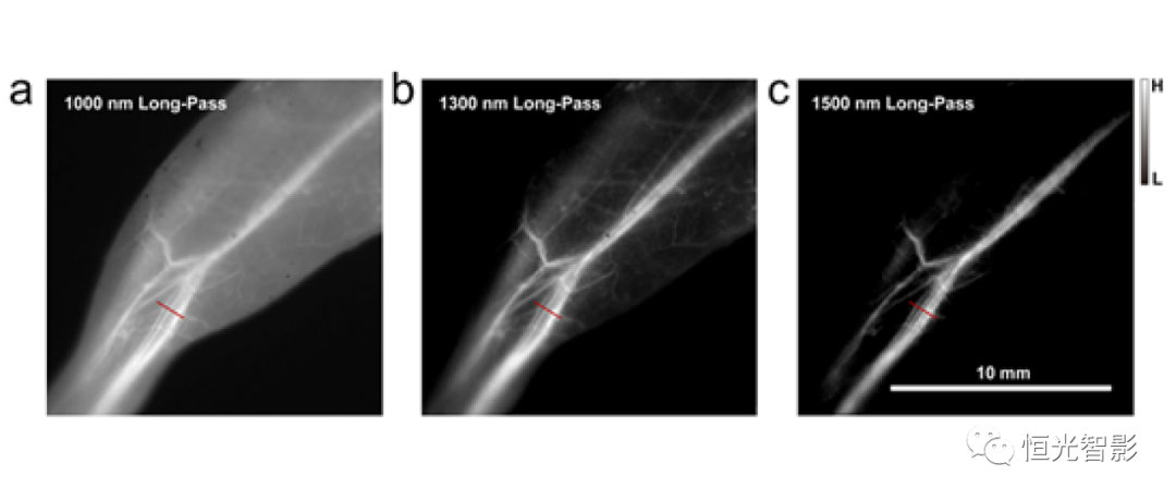 用于近红外二区1500nm以上活体高对比度生物成像的NIR-IIb发光半导体小分子的分子编程