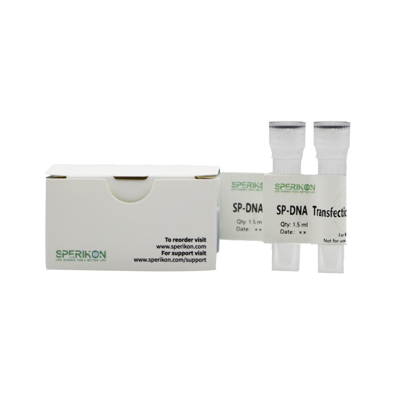 SP-DNA Transfection Reagent