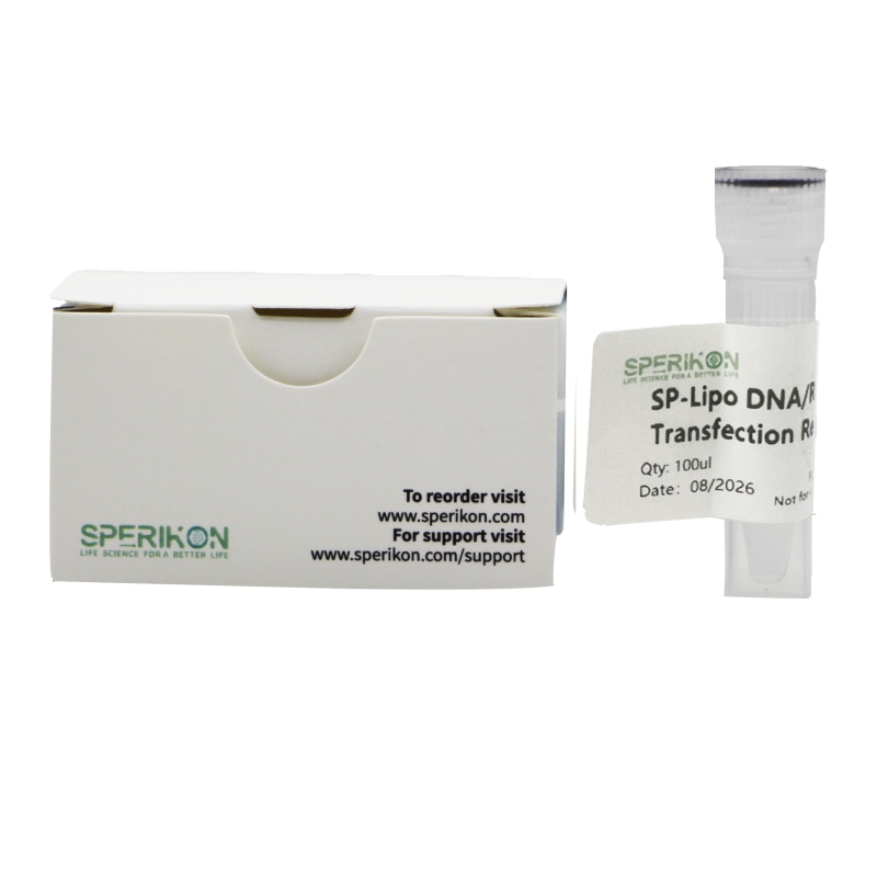 SP-Lipo DNA/RNA Transfection Reagent