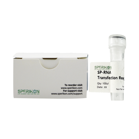 SP-RNA Transfection Reagent